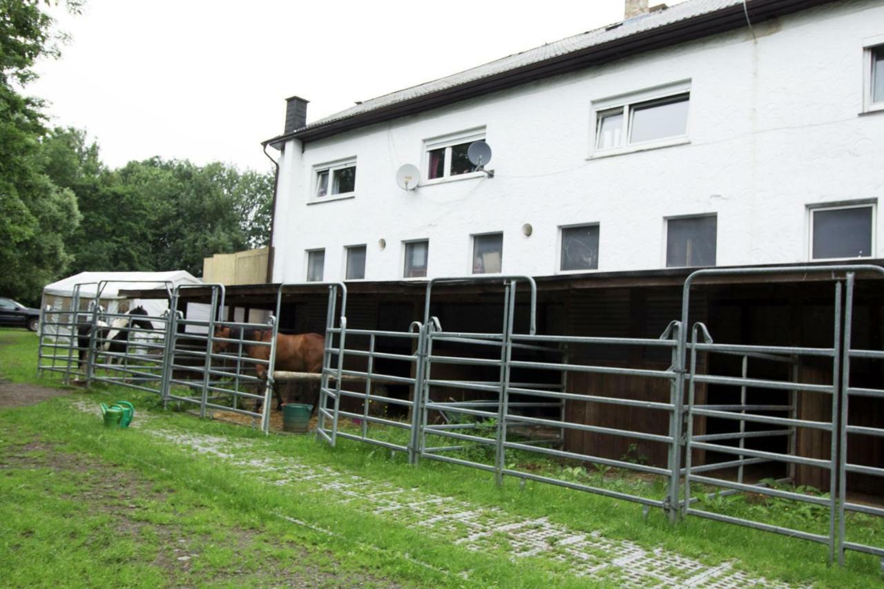 Ferienwohnung Ulrichstein/ Bobenhausen II Bobenhausen Zwei Экстерьер фото